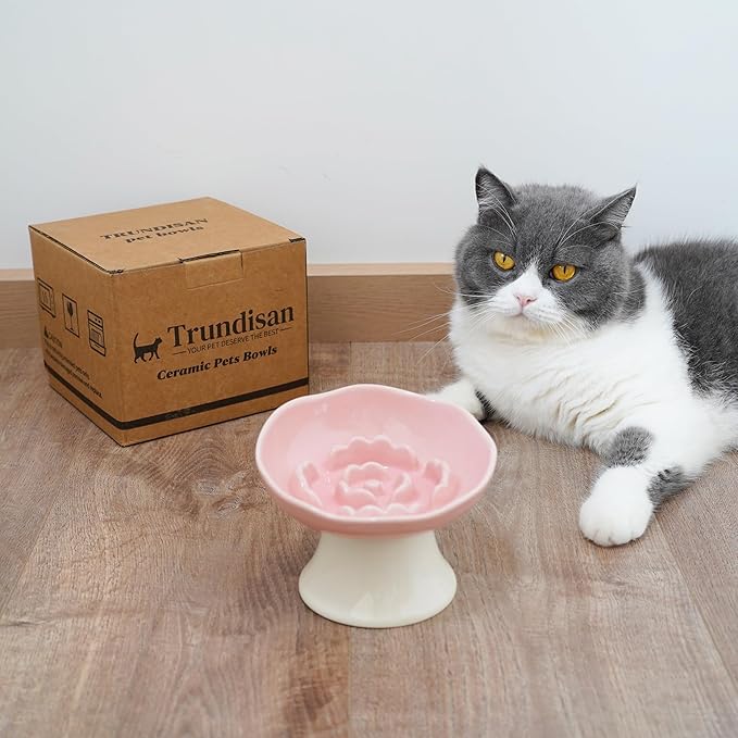 Ceramic Slow Feeder Bowl for Cats and Small Dogs, Elevated Tilted Pet Food Dish, Whisker Friendly Anti-Vomit Design, Heavy Stable Base, Dishwasher Safe, 5 Colors Options (Blush Pink)