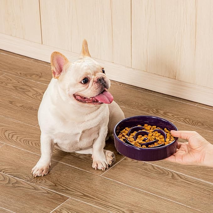 vancasso Slow Feeder Dog Bowl, 0.6 Cups Ceramic Dog Food Dish for Fast Eaters Small Breed, Puzzle Bowl for Small Dogs and Cats, Dark Purple