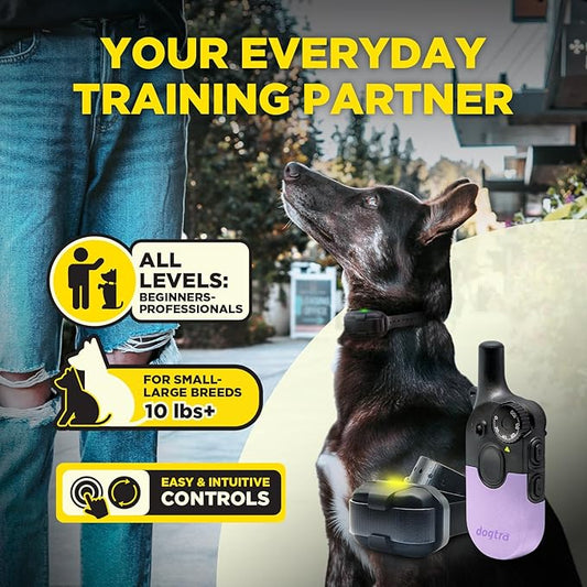 Dogtra 200iQ Remote Training E Collar – 100 Levels, Tone, Vibration, 1/2 Mile Range – Compact, Waterproof, One-Handed Control for Dogs 10 lbs+ – Lightweight Design for Daily Training – Lavender