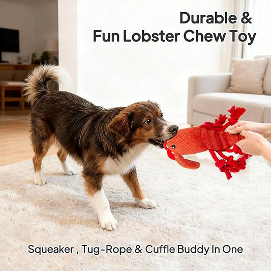 TwoEar Lobster Squeaky Dog Toys, Plush Chew Toy with Tug Rope for Small Medium Large Dogs, Interactive Stuffed Toys Indoor Outdoor Play