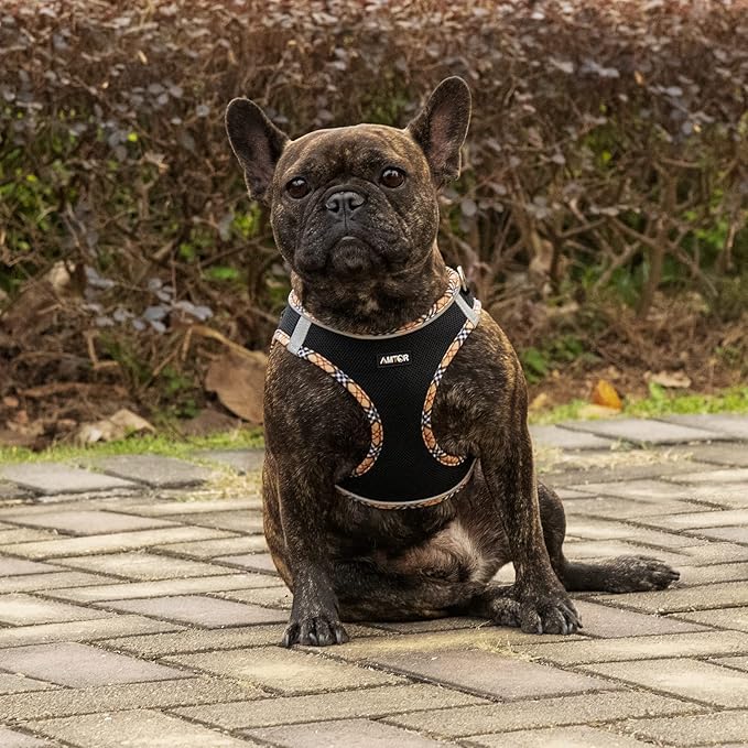 AMTOR Small Dog Harness with Leash Set, No Escape Easy Walk Puppy Harnesses for Training Walking, Step-in Reflective Soft Dogs Vest for XS S Medium Extra-Small Large Sized Dog(BlackYellow,S)