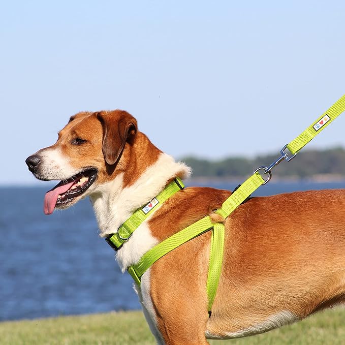 Pawtitas Reflective Step-in Dog Harness – Adjustable No-Pull Vest for Puppies to Seniors, Safe & Comfortable, XS Camo Grey