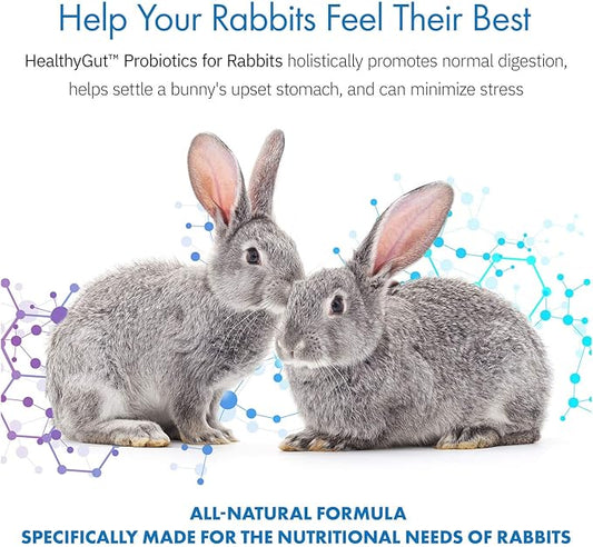 Equa Holistics HealthyGut™ Probiotics for Rabbits Dietary Supplement, All-Natural Digestive System Formula (600 Servings)