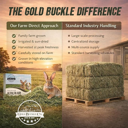 Gold Buckle Co 5lb Farm Fresh, USA Grown, Organic Alfalfa Hay for Rabbits, Guinea Pigs, Chinchillas, Goats, Hamsters & Ferrets - Small Animal Food Rich in Protein & Fiber - Just Dried, Hand-Selected
