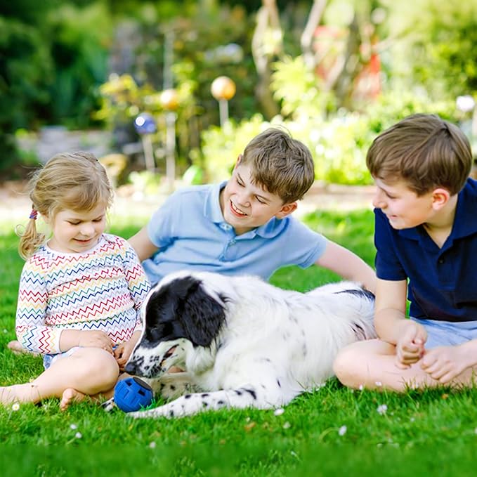 Dog Enrichment Toys to Keep Them Busy, Interactive Dog Toys -Slow Feeder Training to Relieve Boredom and Anxiety, Frozen Treat Dispenser for Small Dogs,Natural Rubber & Dishwasher Safe,Navy,S