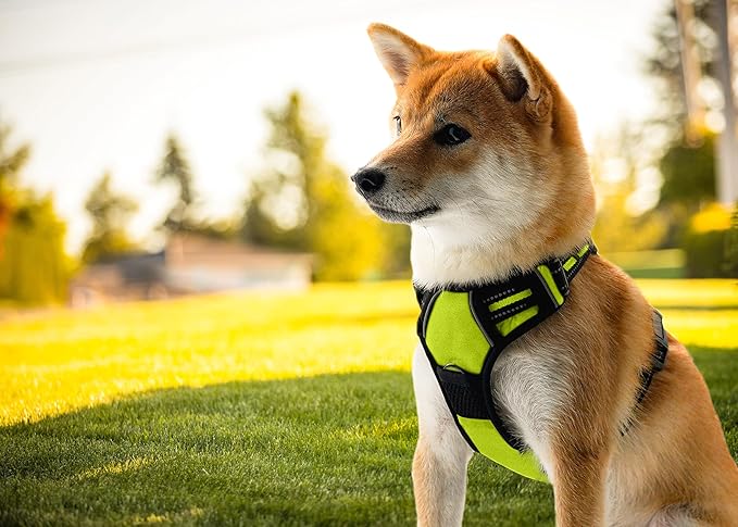 Ziggy Pet Dog Harness Adjustable Nylon Mesh Vest with Leash Clips (Green, Large)