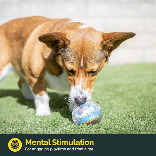 Pet Zone IQ Treat Ball Interactive Dog Ball - 3" Puzzle Treat Dispenser, Durable, Slow Feeder, for All Dog Breeds, Toys to Keep The Busy and Enrichment