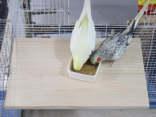 21.7 × 13.8 Inches Large Bird Perch Stand Platform, Natural Wooden Small Animals Cage Accessories, Rectangle Stand Perch Shelf for Parrot Parakeet Cockatiel Rat Hamster Guinea Pig Conure Chinchillas