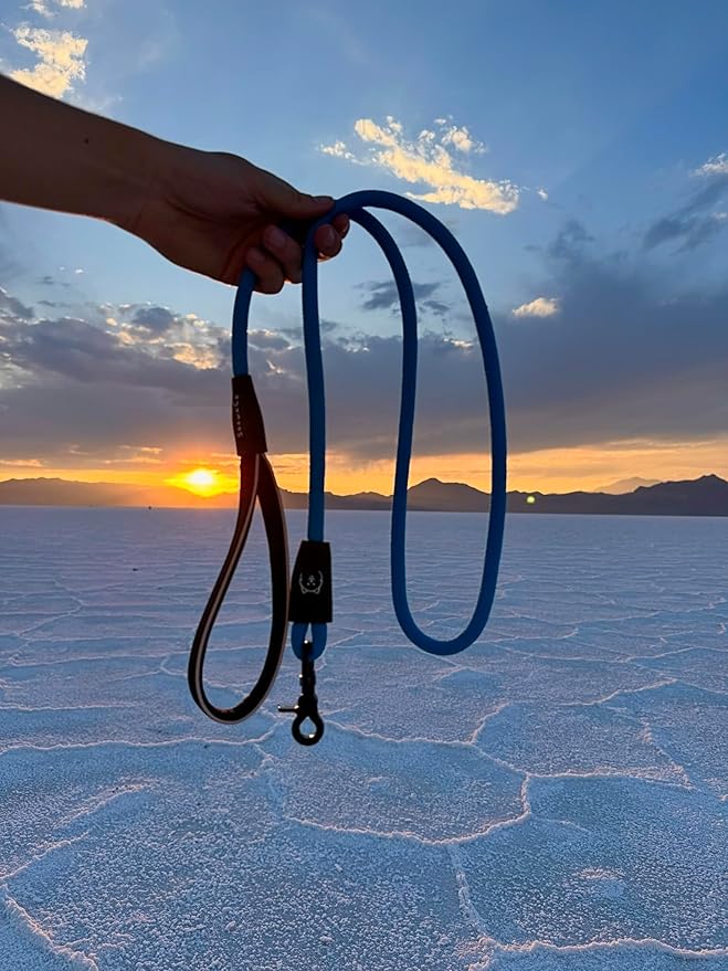 ShawnCo Basecamp Rope Dog Leash- Premium, Durable Pet Leash with Soft Neoprene Padded, Reflective Handle for Small, Medium and Large Dogs (Olive Green, 5 Feet)