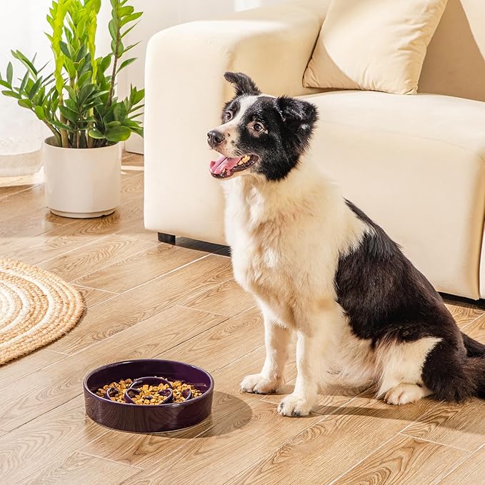 vancasso Slow Feeder Dog Bowl, 3 Cups Ceramic Slow Feeder for Large Breed, Puzzle Maze Dog Food Bowl for Fast Eater, Dark Purple