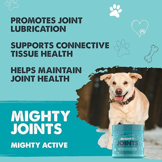 Mighty Paw Waggables Joint Support Supplement for Dogs (Made in USA) | Glucosamine for Dogs Hip and Joint Supplement. Vet Formulated Pet Mobility, Chondriotin & MSM Pet Chews (120 Ct)