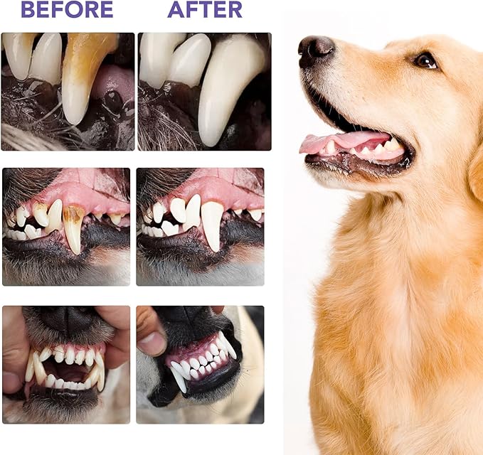 Dog Dental Powder, Dog Breath Freshener, Dog Teeth Cleaning, Plaque & Bad Breath Off, Teeth Cleaning Made Easy, Green Tea Flavor