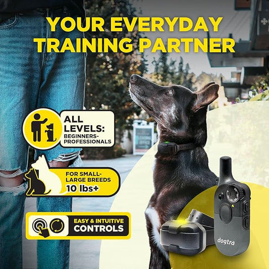 Dogtra 200iQ 2-Dog Remote Training E Collar – 100 Levels, Tone, Vibration, 1/2 Mile Range – Compact, Waterproof, One-Handed Control for Dogs 10 lbs+ – Lightweight System for Daily Obedience Training
