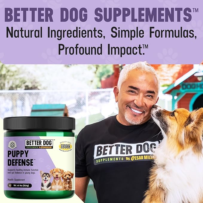 Cesar Millan Better Dog Immune Support for Puppies Powder - Puppy Defense for Pupsโ Immunity, Dog Digestive Support & Gut Supplements for Dogs with Herbal Ingredients - 4 oz, 60-Day Average Supply