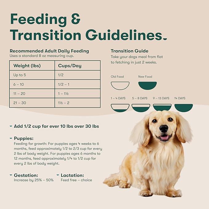 Jinx Premium Grain-Free Dry Dog Food, for All Lifestages - Real Salmon, Sweet Potato & Carrot Kibble with Superfoods for Immune Support & Probiotics for Digestive Support - No Fillers - 11.5lb