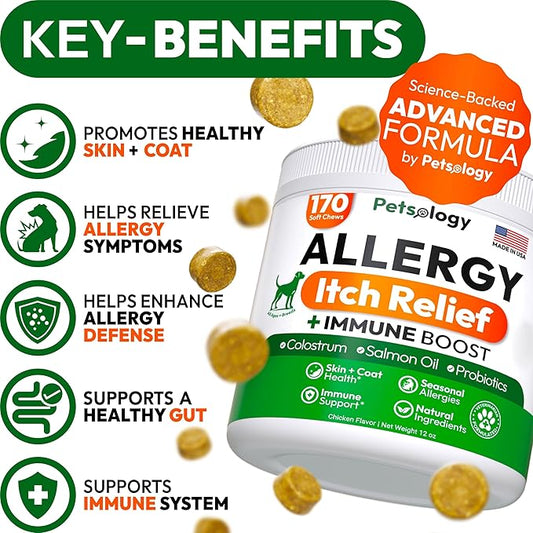 Dog Allergy Relief Chews - 170 Dog Allergy Chews - Itch Relief for Dogs - Omega 3 Fish Oil, Probiotics for Itchy Skin & Hot Spots Allergies, Paw Licking - Dry Skin & Coat Supplement - Immune Health