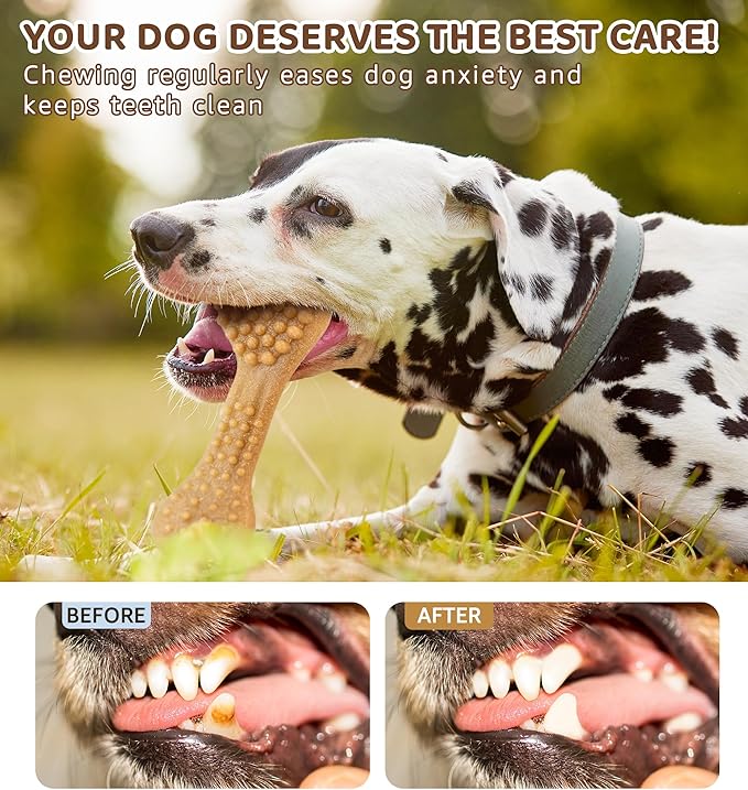 Durable Dog Chew Toy for Aggressive Chewers, Tough Dental Toy for Teeth Cleaning, Boredom & Anxiety Relief, Long-Lasting Toy for All Dog Sizes & Teething Puppies, Keep Them Busy