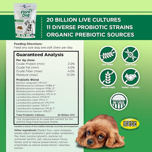 Vital Planet - Flora Dog Probiotics, Dog Chews Supplement with 20 Billion Cultures and 11 Strains, Immune and Digestive Support Chewable Probiotics for Dogs, 30 Natural Bacon Flavored Soft Chews