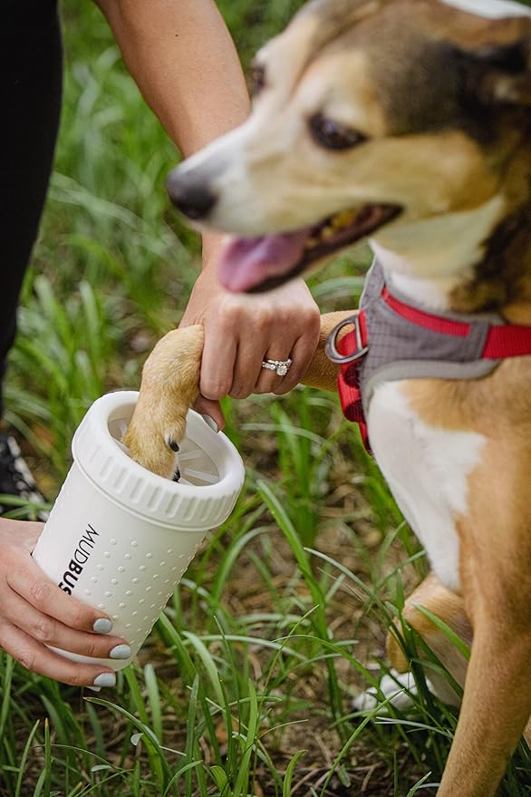 Dexas MudBuster Portable Dog Paw Cleaner, Medium, Bright White Special Edition, Premium Pet Supplies and Accessories (Pack of 6)