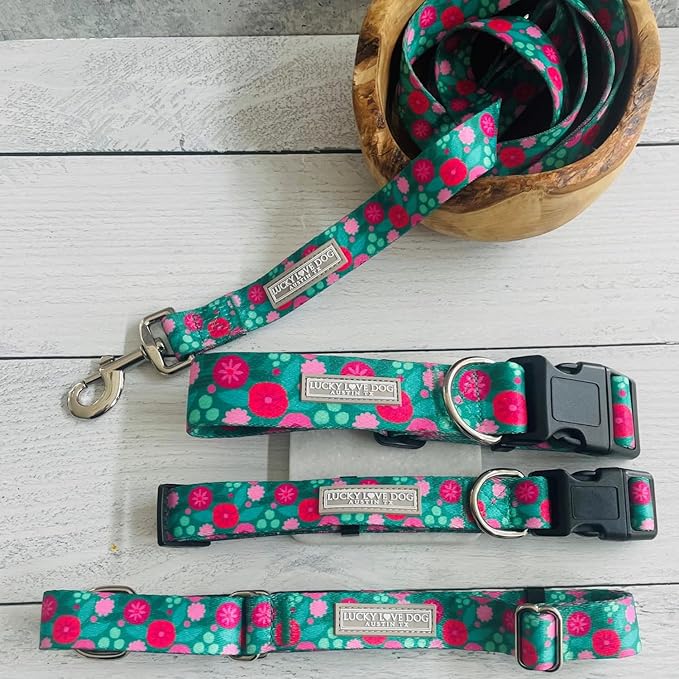 Lucky Love Dog - Adjustable Dog Collar and Leash Set with Easy Click Buckle for Small to Large Dogs, Durable, & Comfortable Collar for Male & Female Dogs, Puppies & Adult Ones - Penny Combo, Small
