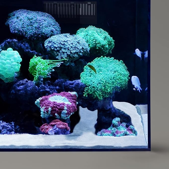 LANDEN NanshaPure Natural Sand 11lbs (3L) for Reef or Hardwater Aquarium, Premium Aragonite Cosmetic Sand for Saltwater and Marine Aquascape, Substrate for Cichlid, Harlequin Shrimp and Hermit Crab