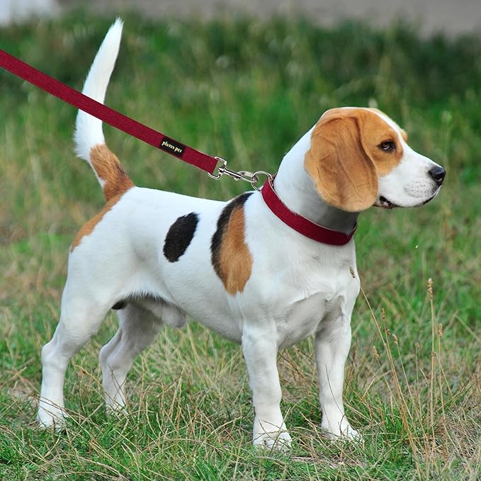 Plutus Pet Cotton Hemp Dog Collar and Leash Set, Adjustable Collar for Small, Medium, and Large Dogs, Heavy Duty and Soft on Skin, Red, XL