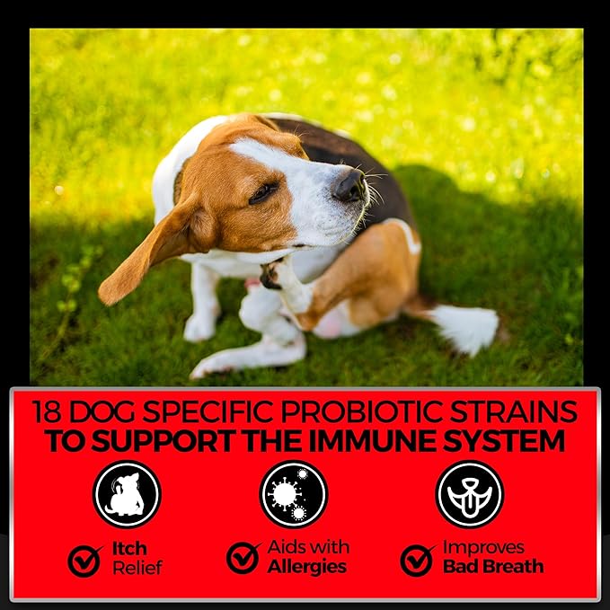 Pet Chef Dog Stop Itching & Allergy Blocker Chew - Natural Anti Itch for Dogs with Omega 3, Salmon Oil - Peanut Butter - Best Value 140 ct Dog Stop Itching Support- Safe no Chemicals All Natural