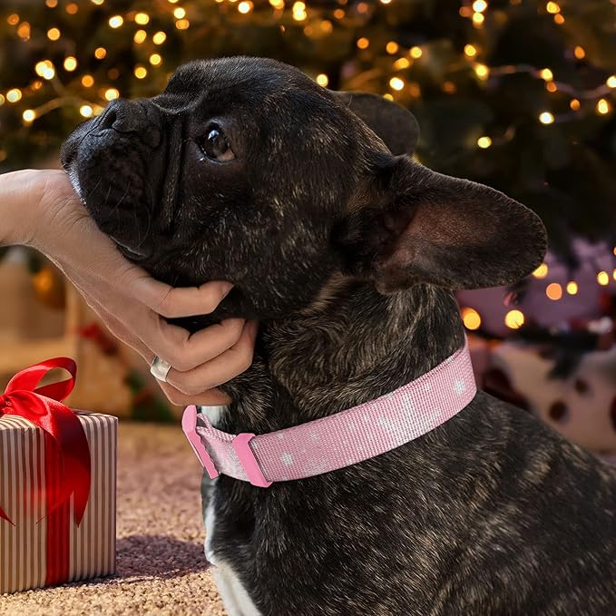 Pawtitas Soft Adjustable Puppy Collar Leash Harness Sold Separately Personalized Customizable Dog Collar Embroidered Customize Pet Name Phone Number Christmas Dog Collar Small Pink Snowflakes
