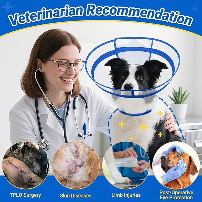 Dog Cone to Stop Licking, Clear Recovery Collar with Detachable Zipper, Sturdy Elizabethan Collar for Large Medium Small Dogs, Soft Adjustable Cone After Surgery Patented, Blue XXL