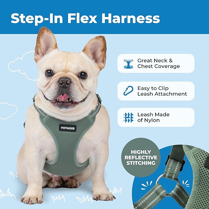 Best Pet Supplies Voyager Mesh Dog Breathable Harness Reflective Stitching, All Weather Adjustable for Walking Training, or Running - Heavy Duty & Durable, Moss Green, S