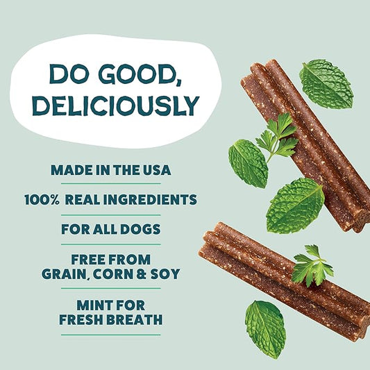 Shameless Pets Dental Chews for Dogs, Mighty Mint Minis, Healthy Treats for Teeth Cleaning & Fresh Breath - Free from Grain, Corn, & Soy for Small Dogs