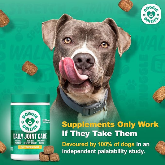 Doggie Dailies, Hip and Joint Supplement for Dogs, Glucosamine Chondroitin, Premium Hip and Joint Chews for Dogs All Breeds & Sizes, Dog Vitamins and Supplements, (Chicken) 120 Chews
