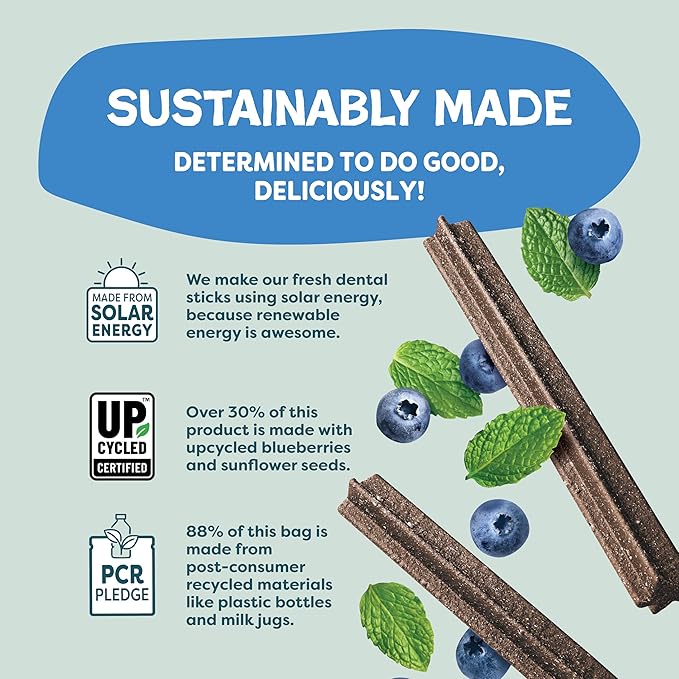 Shameless Pets Dental Treats for Dogs, The Tooth Berry - Healthy Dental Sticks with Immune Support for Teeth Cleaning & Fresh Breath - Free from Grain, Corn & Soy