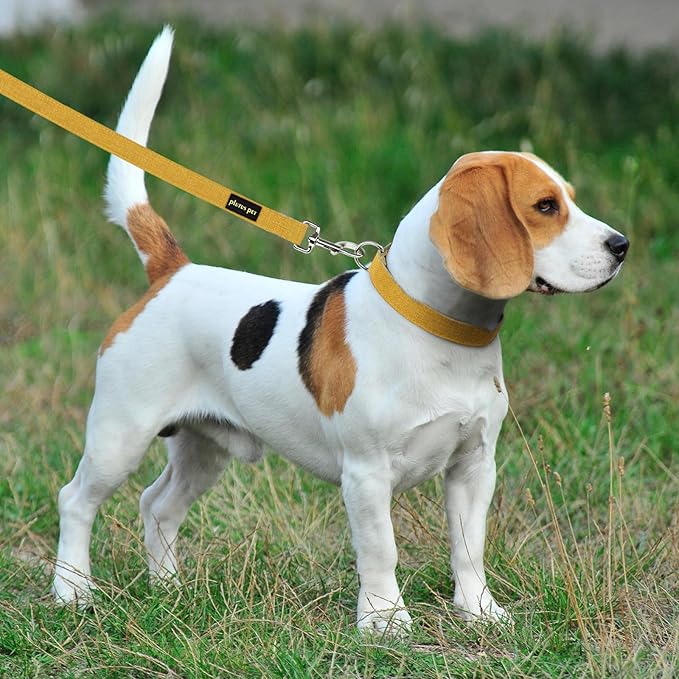 Plutus Pet Cotton Hemp Dog Collar and Leash Set, Adjustable Collar for Small, Medium, and Large Dogs, Heavy Duty and Soft on Skin, Yellow, XL