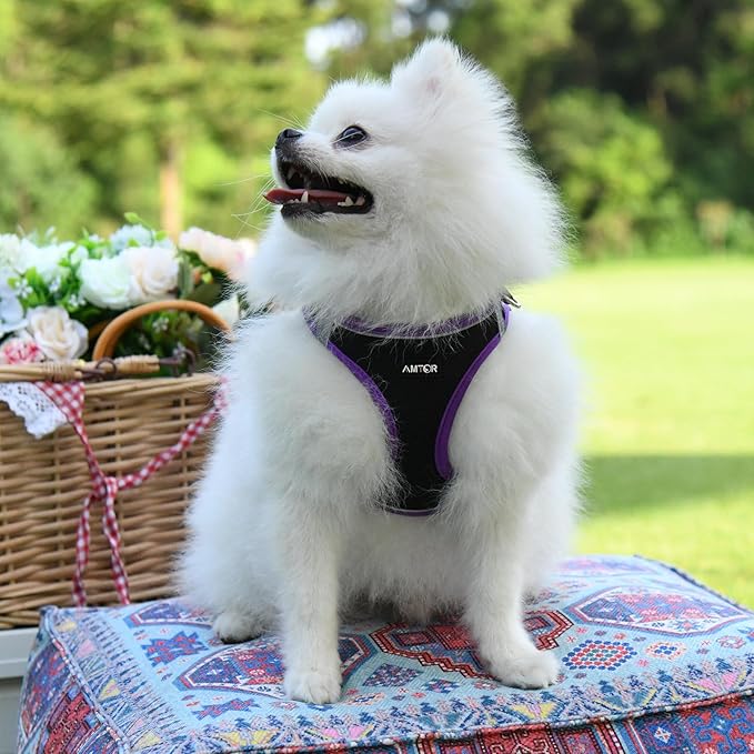 AMTOR Small Dog Harness with Leash Set, No Escape Easy Walk Puppy Harnesses for Training Walking, Step-in Reflective Soft Dogs Vest for XS S Medium Extra-Small Large Sized Dog(S,Black/Purple)