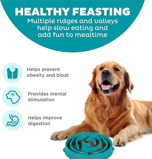 Outward Hound Large Slow Feeder Bowl, Puzzle Maze for Fast Eaters, Medium to Large Dogs, Helps Prevent Bloat & Aid Digestion, Holds 4 Cups Wet or Dry Food, Non-Slip, Made Without BPA, Turquoise