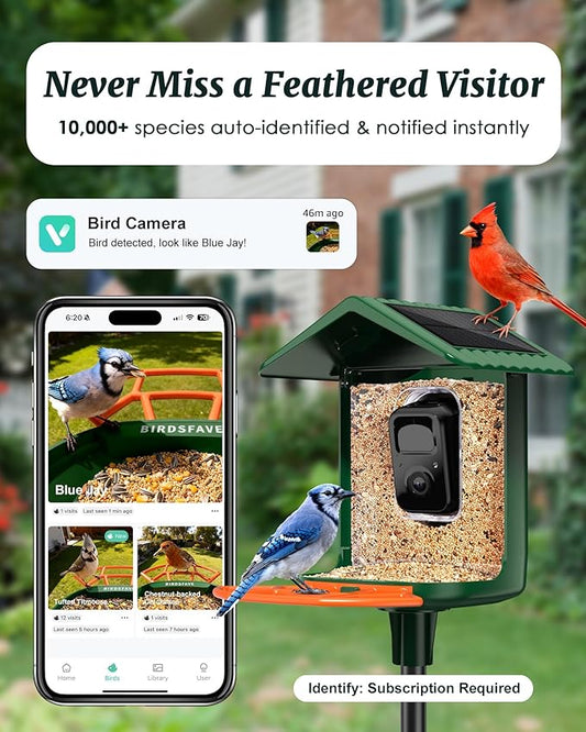 BIRDSFAVE-Bird Feeder with Camera Solar Powered, 2K Clear Live/Video/Photo Auto Arrival Alerts AI Identify Smart Cameras Birds Feeders with 32GB Card DIY Add-ons, 2.4G WiFi Wireless Birdwatching Gift