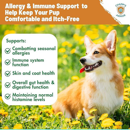 Champ's Armor Allergy & Immune Soft Chews for Dogs. Daily Support for Itchy Skin, Immune Health, Seasonal Allergies. W/Colostrum, Salmon Oil, Probiotics, Quercetin, Turmeric. 120 ct.