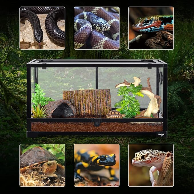 WACOOL TERRA Large Reptile Tank 25 Gallon, 360°Full Vision Glass Reptile Terrarium with Top Mesh Lid for Beaded Dragon Lizard Gecko Snake Hermit Crab Use, 30"(W) X 12"(D) X 16"(H)