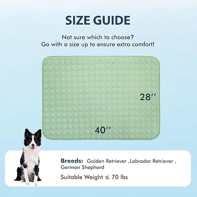 MICROCOSMOS Summer Cooling Mat & Sleeping Pad- Water Absorption Top, Materials Safe, Easy Carry, EZ Clean. Keep Cooling for Pets, Kids and Adults.(Green, 40" x28")