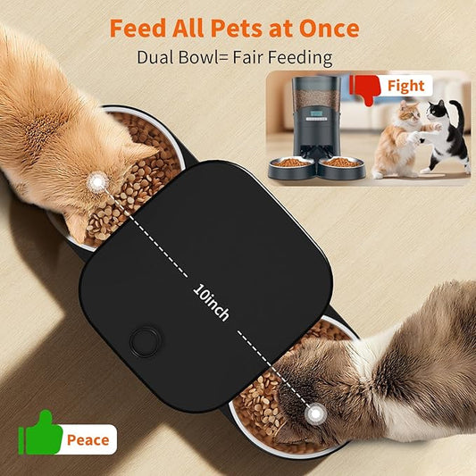 HoneyGuaridan Automatic Cat Feeder for 2 Cats,3.5L Dual Cat Food Dispenser, 2.4G/5G WiFi APP Control for Multiple Cats,2 Stainless Steel Bowls & 2 Slow Feeder Anti-Choking Bowls, Dual Power