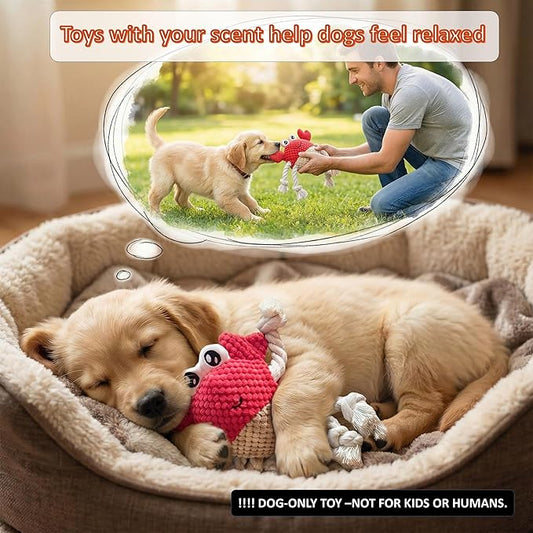 Squeaky Crab Dog Toy with Rope Legs - 5.5''X9.5'' Durable Dog Chew Toy for Small Dogs | Built-in Whistle Sounds | Teeth Cleaning | Interactive Dog Toys (RED)