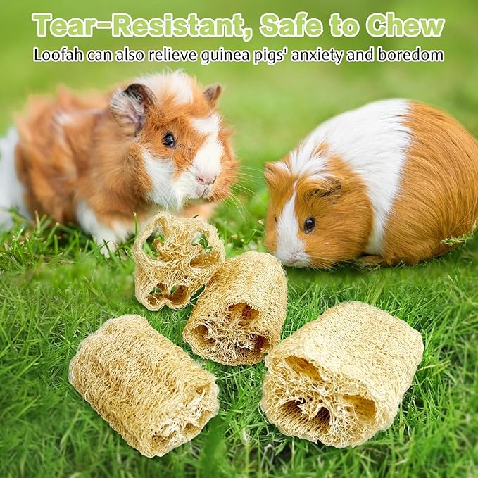 BNOSDM Bunny Chew Toys Natural Loofah 4PCS Bunny Teeth Grinding Toy Rabbit Fiber-Rich Treats Pet Entertainment Accessories for Rabbits Chinchillas Guinea Pig(XL)