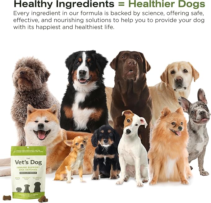 The Vet's Dog Immune Support DNA Defense Chews, Dog Allergy and Immune Chews + Hip and Joint Supplement for Dogs, Organic Turkey Tail Mushroom, Turmeric, Barley Grass, Chicken Liver Flavor (30 Count)