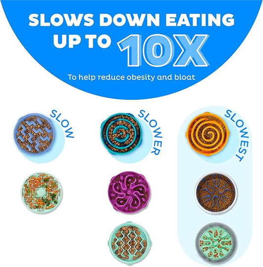 Outward Hound Stainless Steel Slow Feeder Bowl, Plastic Puzzle Maze for Fast Eaters, Small to Medium Dogs, Helps Prevent Bloat & Aid Digestion, Holds 2 Cups Wet or Dry Food, Non-Slip, Made Without BPA