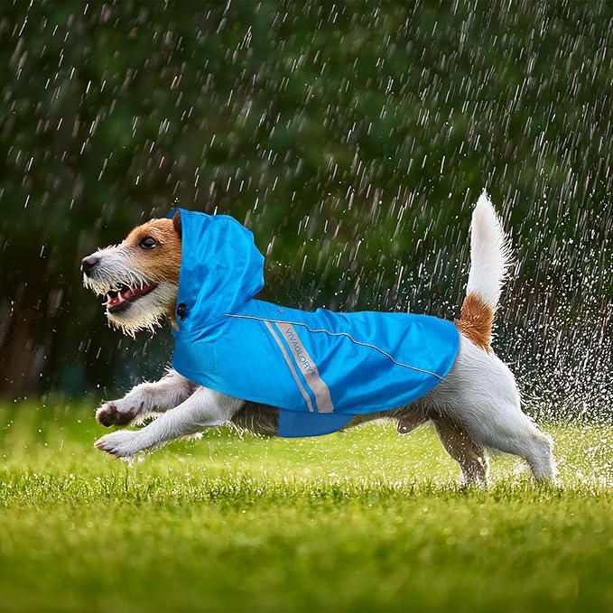 VIVAGLORY Wetoff Dog Raincoat, Rain Coat for Dog All Seasons Adventure, Rain Jacket with Harness Hole & Hood, Reflective Lightweight Waterproof for Doggy & Puppy, XXS, Blue