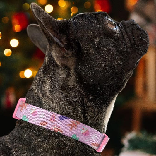 Pawtitas Soft Adjustable Puppy Collar Leash Harness Sold Separately Personalized Customizable Dog Collar Embroidered Customize Pet Name Phone Number Christmas Dog Collar Large Christmas Cookies