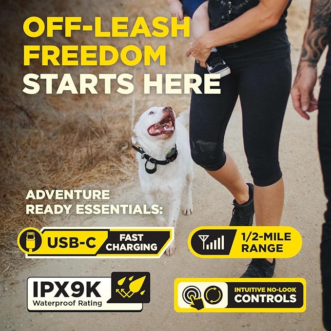 Dogtra 200iQ Remote Training E Collar – 100 Levels, Tone, Vibration, 1/2 Mile Range – Compact, Waterproof, One-Handed Control for Dogs 10 lbs+ – Lightweight Design for Daily Obedience Training