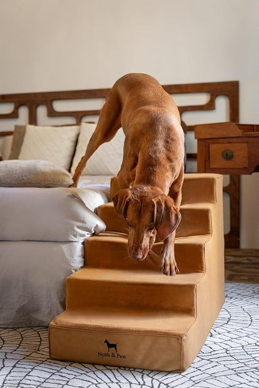 Noah & Paw Dog Stairs, Dog Ramp for Bed (20" Extra Wide) Pet Stairs for High Bed, Design to Fit Small and Large Breeds, Durable 5 Pet Steps for Couch (35 Foam Density) Leather Collection