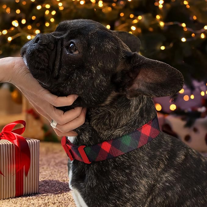 Pawtitas Soft Adjustable Puppy Collar Leash Harness Sold Separately Personalized Customizable Dog Collar Embroidered Customize Pet Name Phone Number Christmas Dog Collar Large Gift Wrap